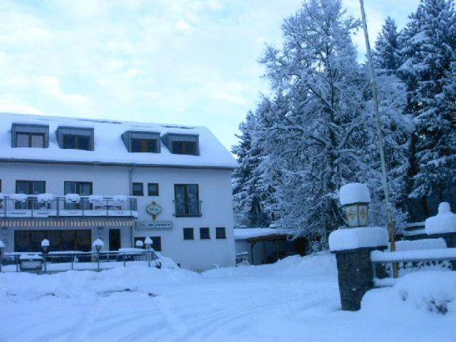 Waldpension Zum Felsenkeller Lichtenfels-Sachsenberg ภายนอก รูปภาพ