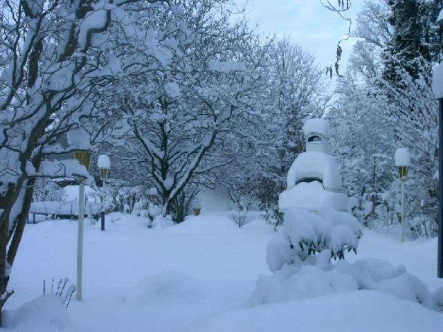 Waldpension Zum Felsenkeller Lichtenfels-Sachsenberg ภายนอก รูปภาพ