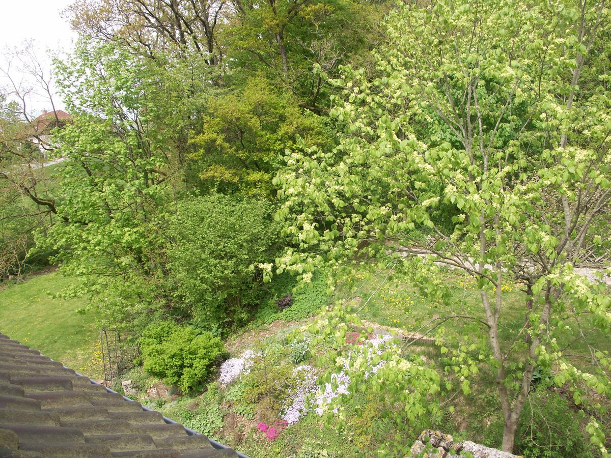Waldpension Zum Felsenkeller Lichtenfels-Sachsenberg ภายนอก รูปภาพ